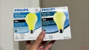 Ampoule au DEL120 Volts 60 Watts (7 Watts) Philips