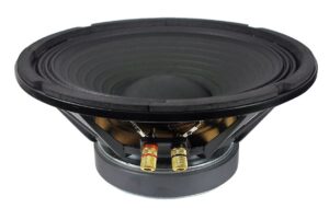 Haut-parleur de basse fréquence 8 ohms - 10"