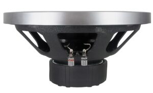 Subwoofer Nakamichi SP-W31D de 12" double bobine – Image 3
