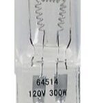 Ampoule halogène de remplacement 120V, 300 Watts