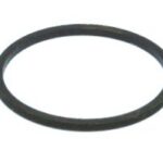 Courroie carrée de 2.234'' x 0.031''