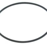 Courroie carrée de 5.750'' x 0.031''