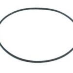 Courroie carrée de 7.750'' x 0.031''