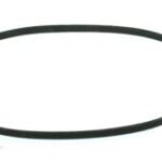 Courroie plate de 7.750'' x 0.100''