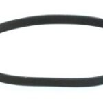 Courroie plate de 9.900'' x 0.250''
