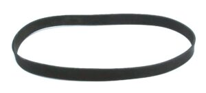 Courroie plate de 10.100'' x 0.350''