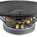 Woofer 12 po 8 ohms 300 W crête, cône en papier, pour boîtier bass-reflex