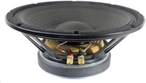 Woofer 12 po 8 ohms 300 W crête, cône en papier, pour boîtier bass-reflex