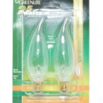 Paquet de 2 ampoules avec bouts épointées 25 Watts