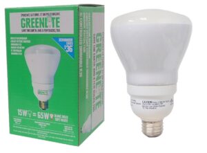 Ampoule fluocompacte blanc doux 15 Watts (65W)