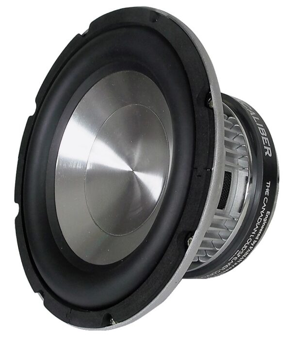 Haut-parleur de basse fréquence 8 ohms - 10"