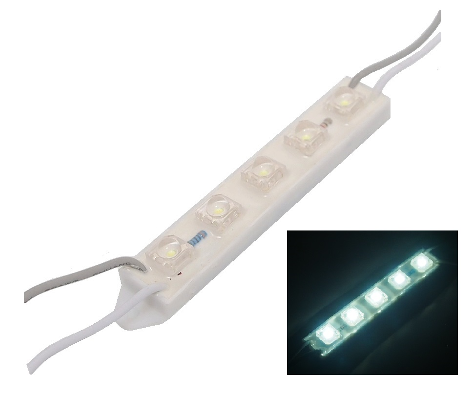 Module imperméable de 5 DELs blanches