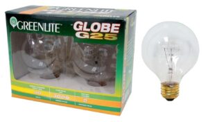 Paquet de 2 ampoules type globe de 40 Watts