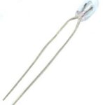 Ampoules 5 Volts