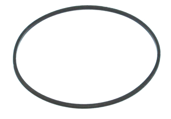 Courroie carrée de 5.750'' x 0.031''