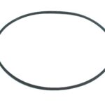 Courroie carrée de 7.750'' x 0.031''