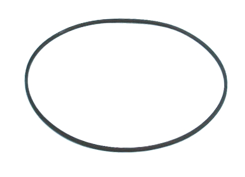 Courroie carrée de 7.750'' x 0.031''