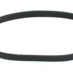 Courroie plate de 9.900'' x 0.250''