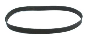 Courroie plate de 10.100'' x 0.350''