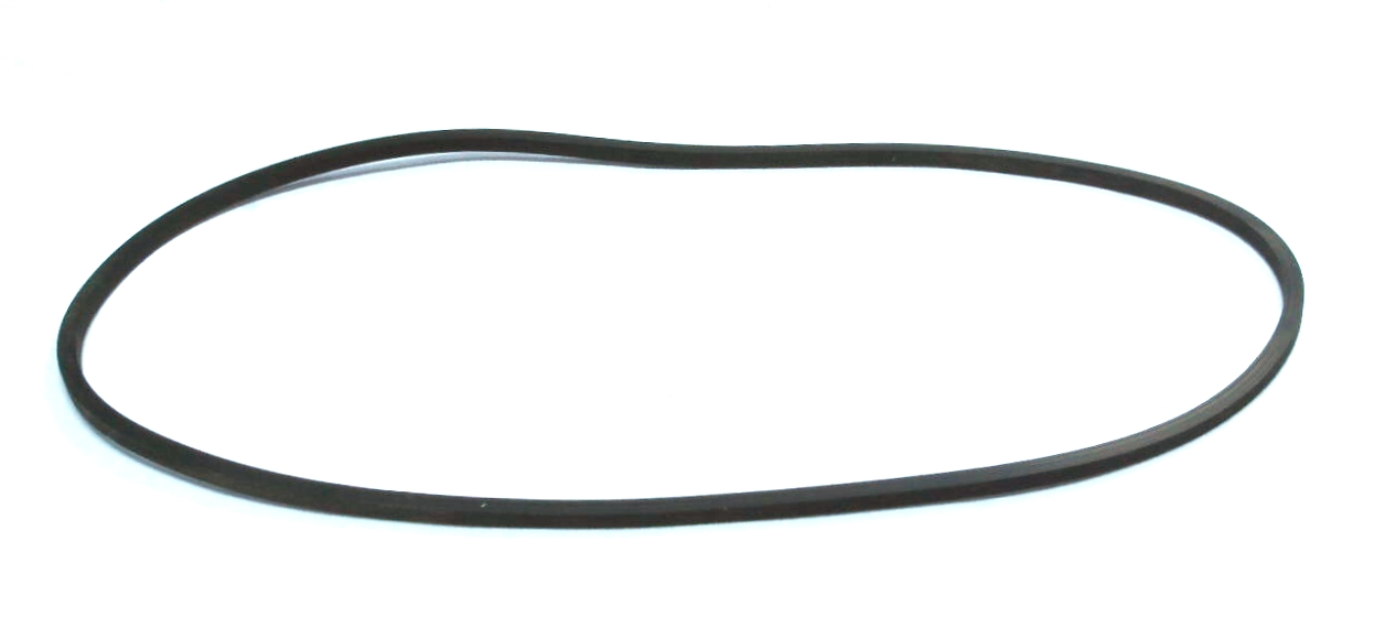 Courroie carrée de 11.671'' x 0.071''