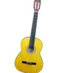 Guitare acoustique de marque toledo couleur yamaha avec sac de transport inclus