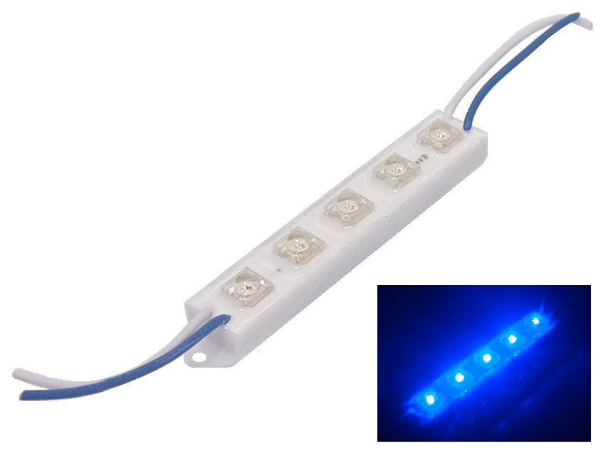 Module imperméable de 5 DELs bleues