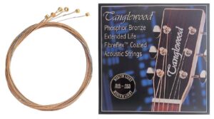 Cordes acoustiques Tanglewood 0.012 - 0.053