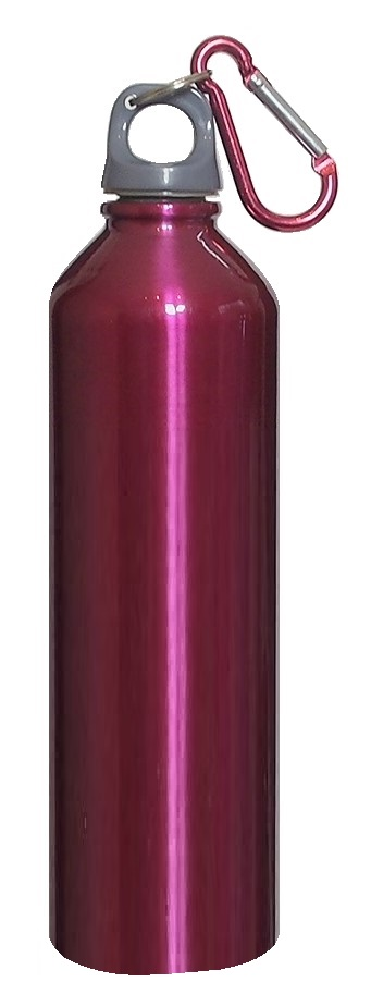 BOUTEILLE D'EAU EN ACIER INOXYDABLE AVEC ATTACHE