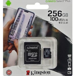 Carte micro SD Kinsgton 256 GB class 10